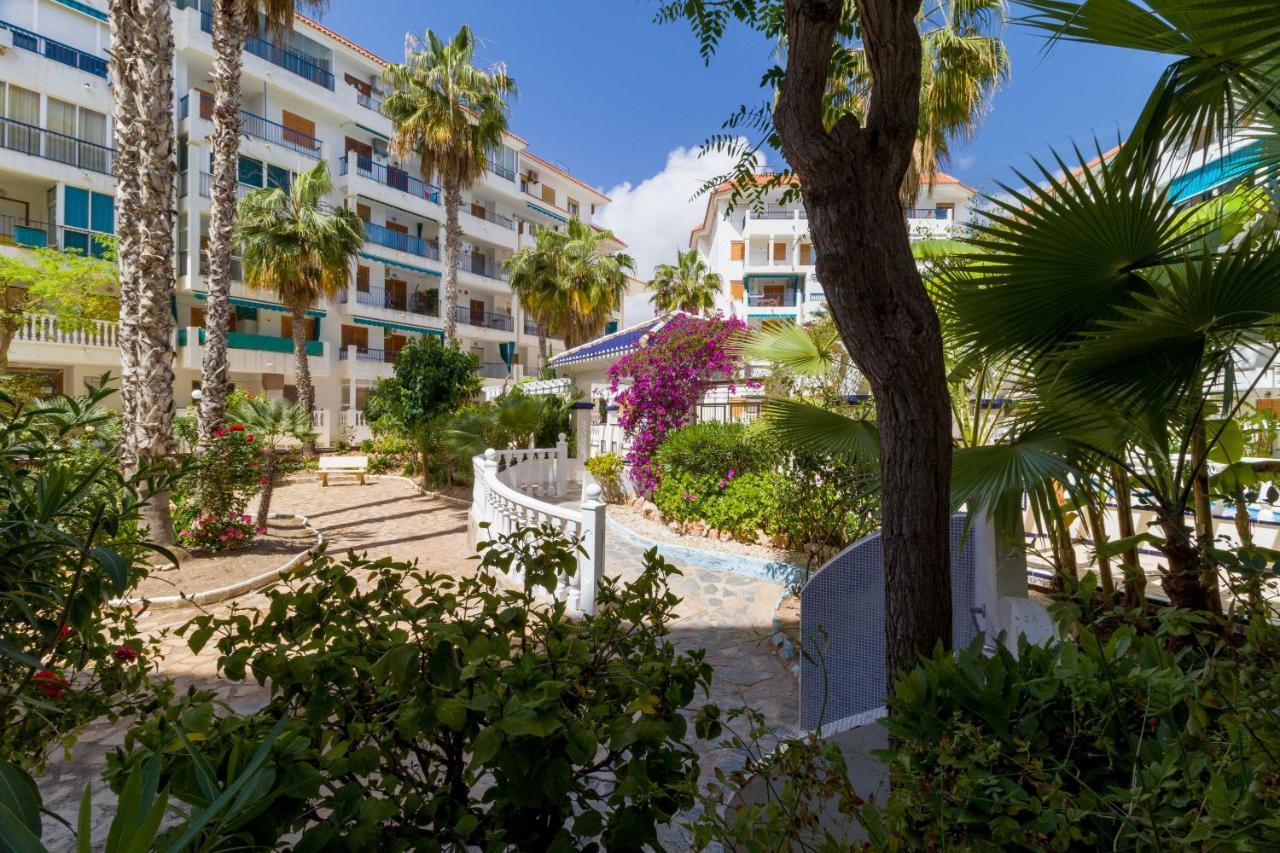 Apartament La Mata Belgica Zewnętrze zdjęcie